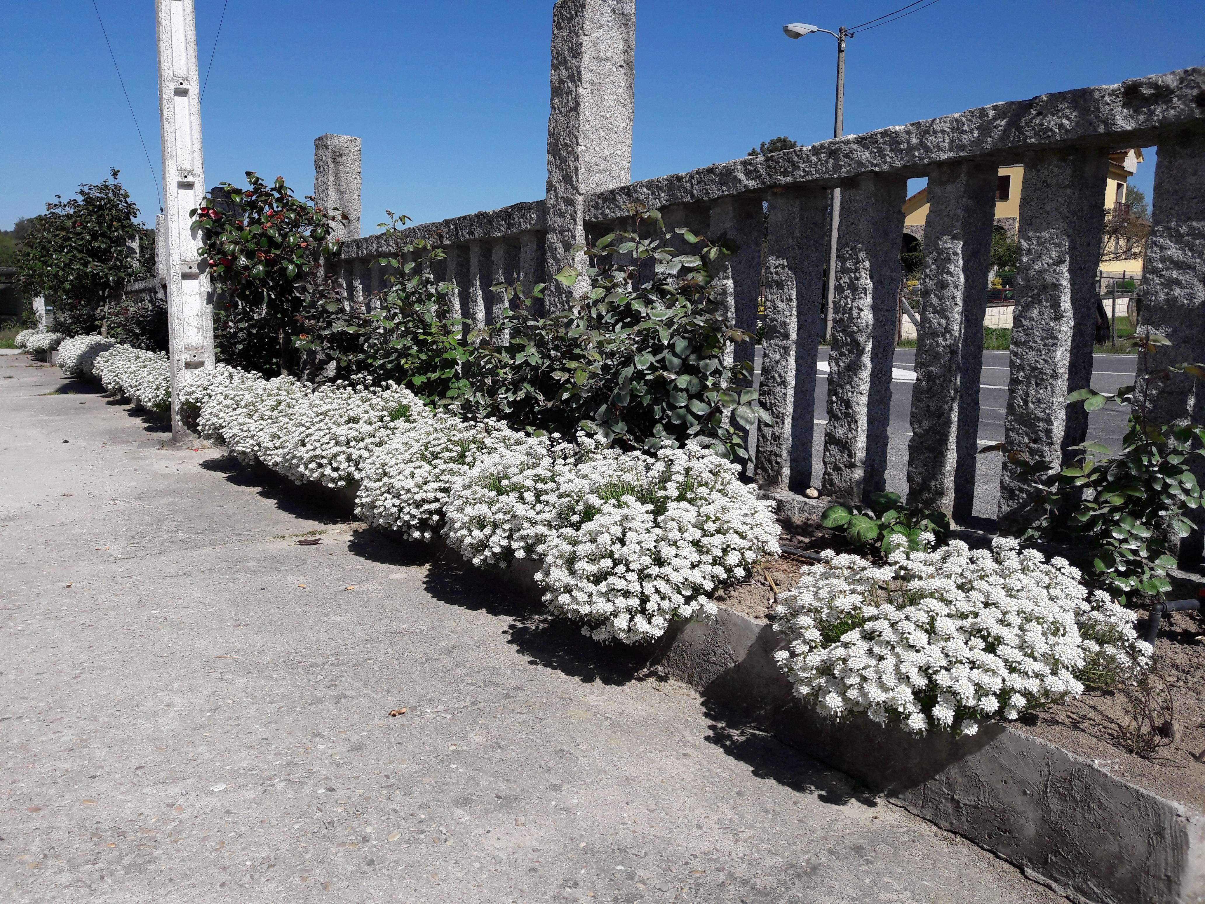 Hostal Sequeiros San Ciprián de Viñas Exteriér fotografie
